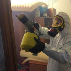 Уничтожение клопов в квартире. Софрино